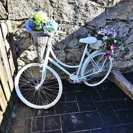 Apartamento Apartadino